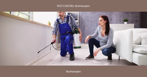PEST CONTROL Northampton